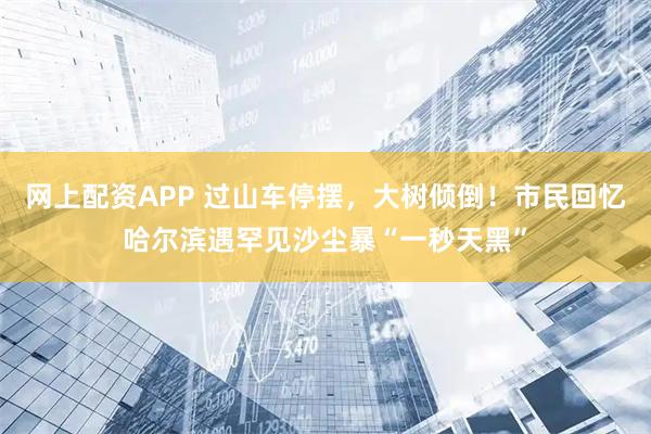 网上配资APP 过山车停摆，大树倾倒！市民回忆哈尔滨遇罕见沙尘暴“一秒天黑”